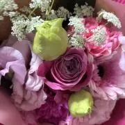 みみた