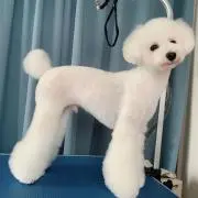 ぱぬぼ