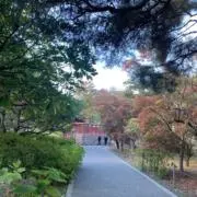 yu