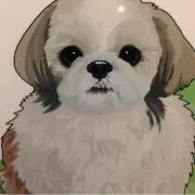 ポン