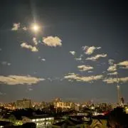 ろんの画像