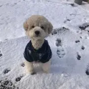 変なおじさん