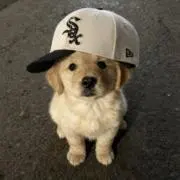 M ☻の画像