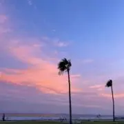 mmの画像