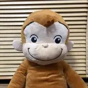yuaの画像