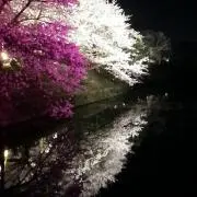 でいえむ