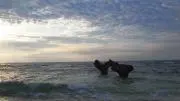 【プロフ要確認】むーの画像