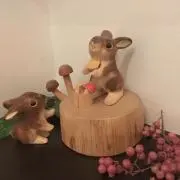 hanaの画像