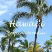 プルメリア hawaii