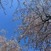 エクストラ大豆の画像