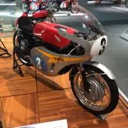 Shintaroの画像