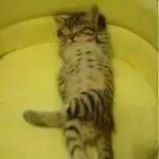 ky 同一住所同梱の画像