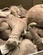 ちろりの画像