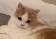mamimamiの画像