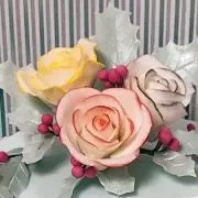 naoの画像
