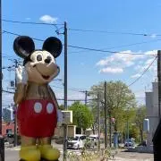 フェイフェイの画像