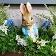 さこうの画像