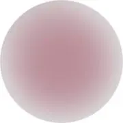 しわなしpit  プロフ必読の画像