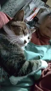 kaiの画像