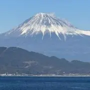 ゆうきりん※日・月・火の発送はありませんの画像