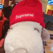 だだだ