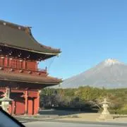 ダンボ
