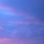 みその画像