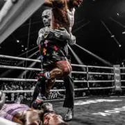 ufcの画像
