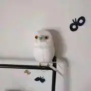 ゆうの画像