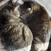 ナオ