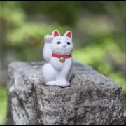 うぉんの画像