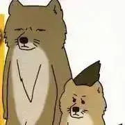 片付けたい☆チベットスナギツネの画像