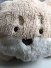くまのさん