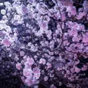 SAKURA@断捨離中の画像