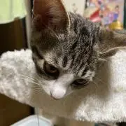 ✰ さんちゃん☆