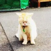 じーま