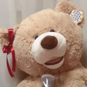 さくらの画像