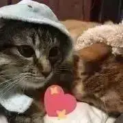しふぉん✱まとめ買い相談可！紹介文必須。の画像