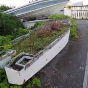 haluの画像