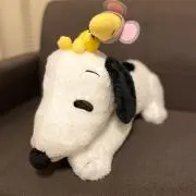 かなえるの画像