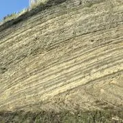 はるまきの画像