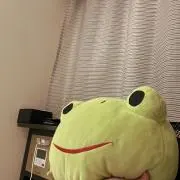 かえるくん。の画像