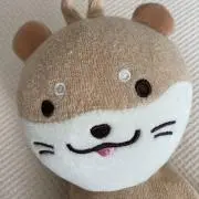 ぴの画像