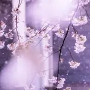 myの画像