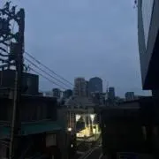 きんごの画像