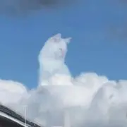Rの画像