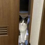 _T.H.K.F.K_の画像