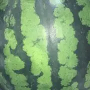 REOままの画像