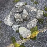 R-shinの画像