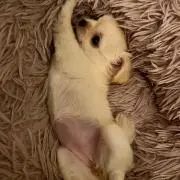 mの画像